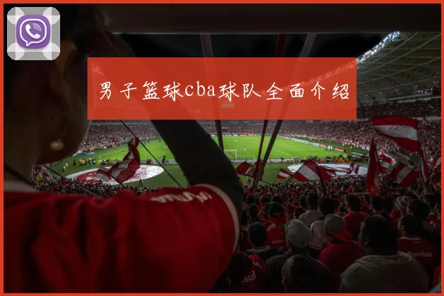 男子篮球cba球队全面介绍